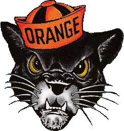 Pat Panther Logo